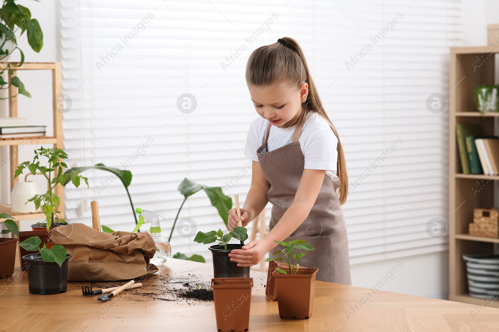 Photo of Cute little girl planting seedling into pot at wooden table in room