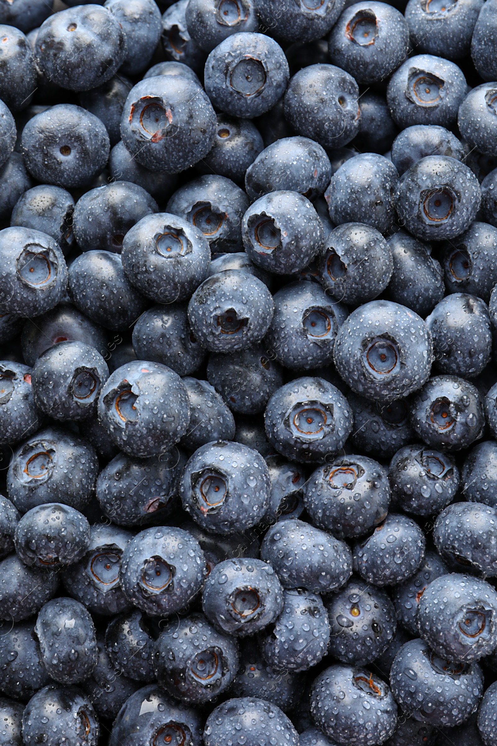 Photo of Wet fresh blueberries as background, top view