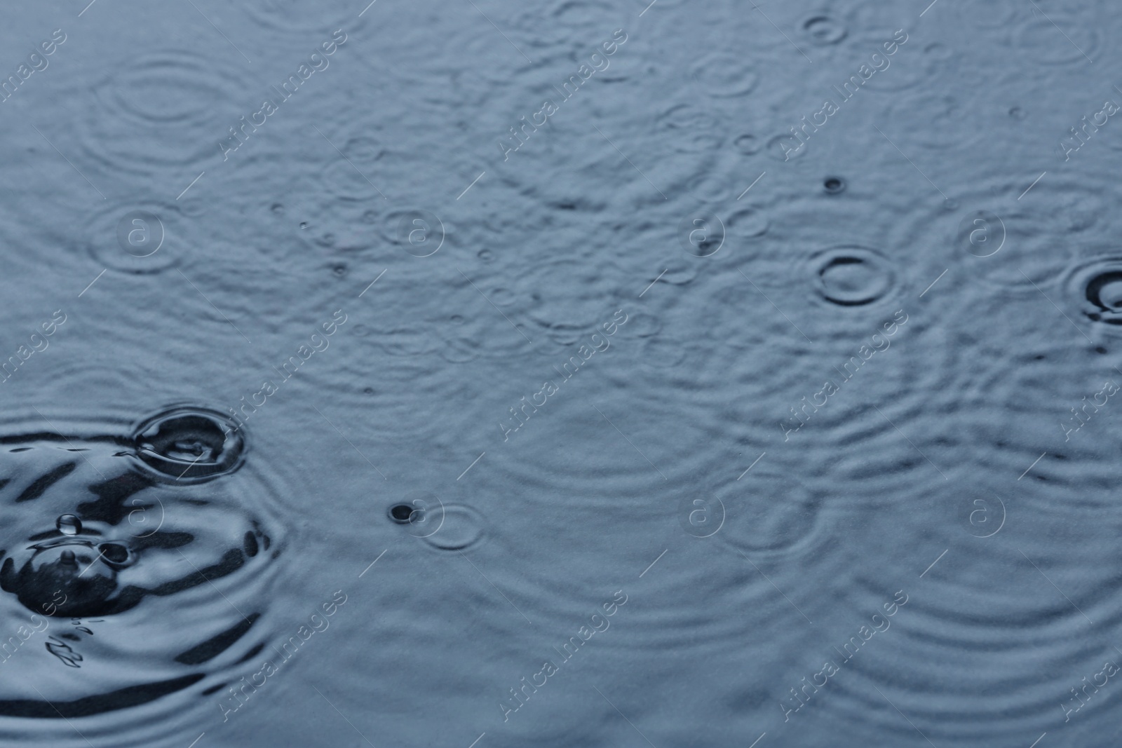 Photo of Rain drops falling down into puddle outdoors