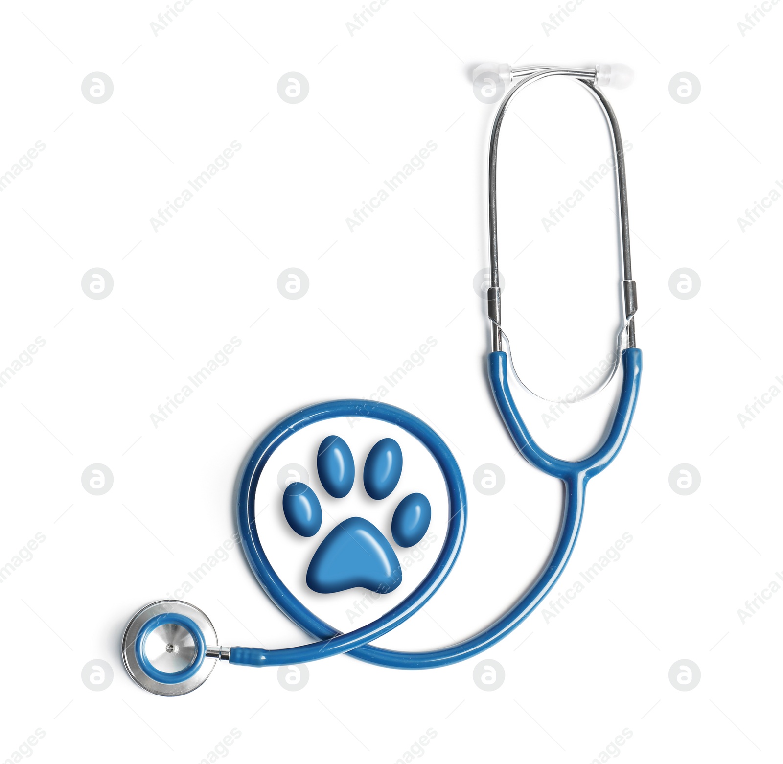 Image of Stethoscope and animal paw on white background, top view