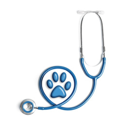 Image of Stethoscope and animal paw on white background, top view