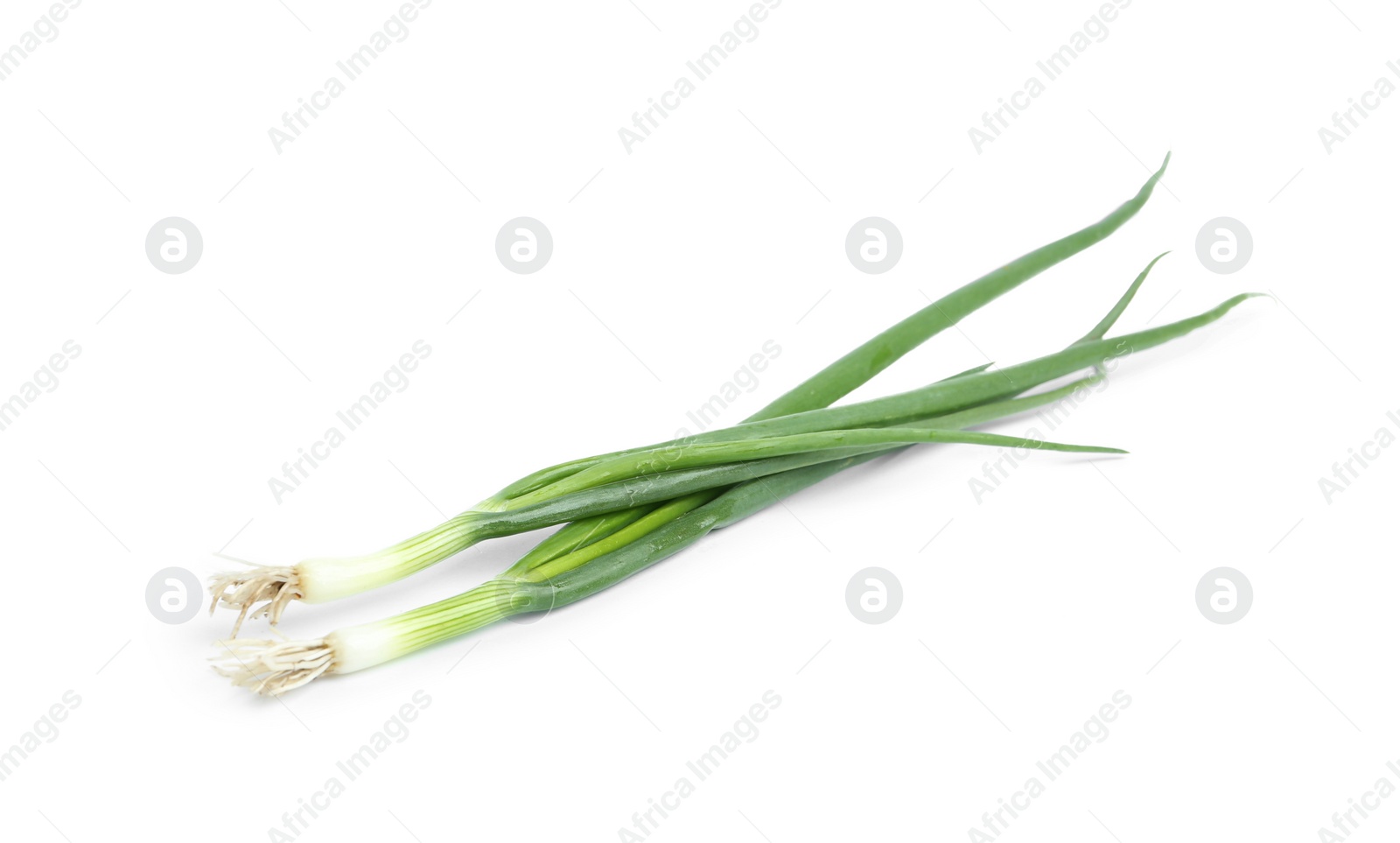 Photo of Fresh green spring onions isolated on white