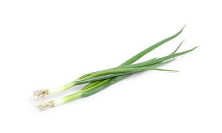 Fresh green spring onions isolated on white