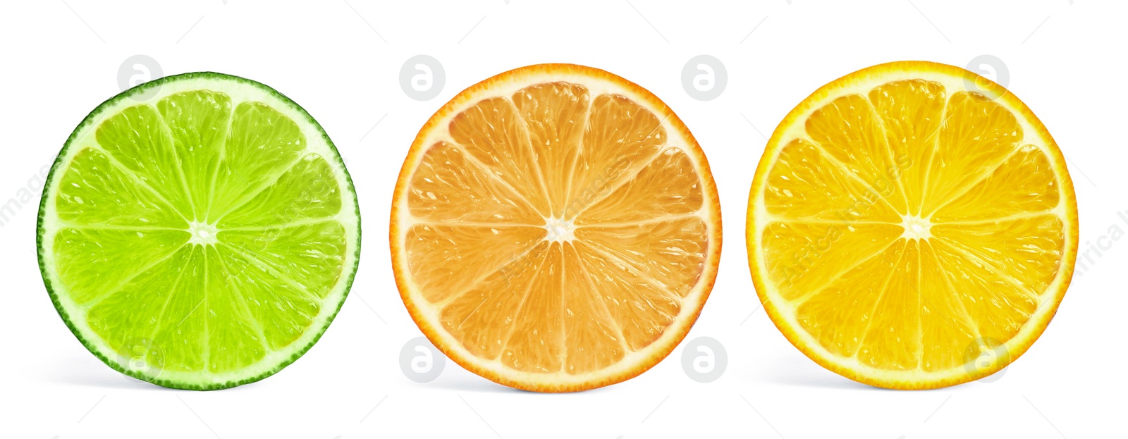 Image of Set of different citrus slices on white background, top view