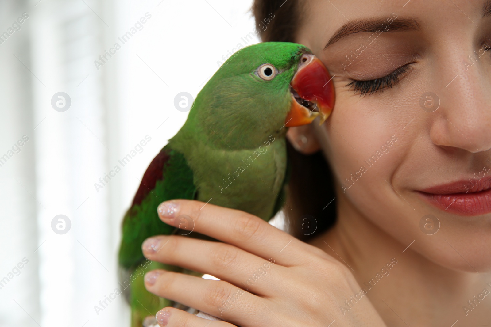 Photo of Young woman with cute Alexandrine parakeet on light background, closeup