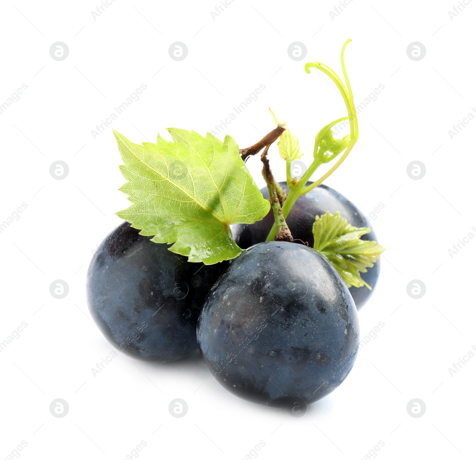 Photo of Fresh ripe juicy black grapes isolated on white