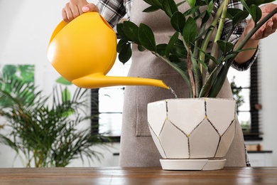 Photo of Young woman taking care of plant at home, closeup