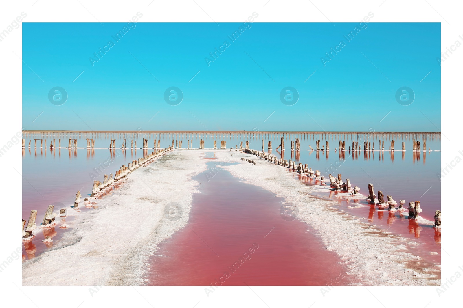 Image of Paper photo. Beautiful view of pink lake on summer day