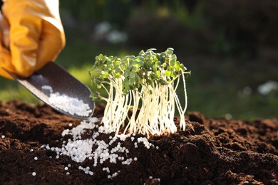 Photo of Man fertilizing soil with growing young microgreens outdoors, selective focus