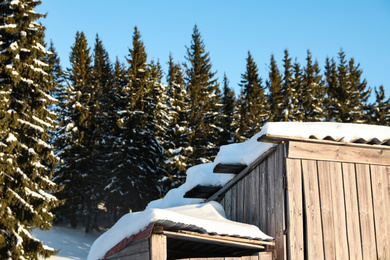 Photo of Wooden house in snowy coniferous forest on sunny day. Winter vacation