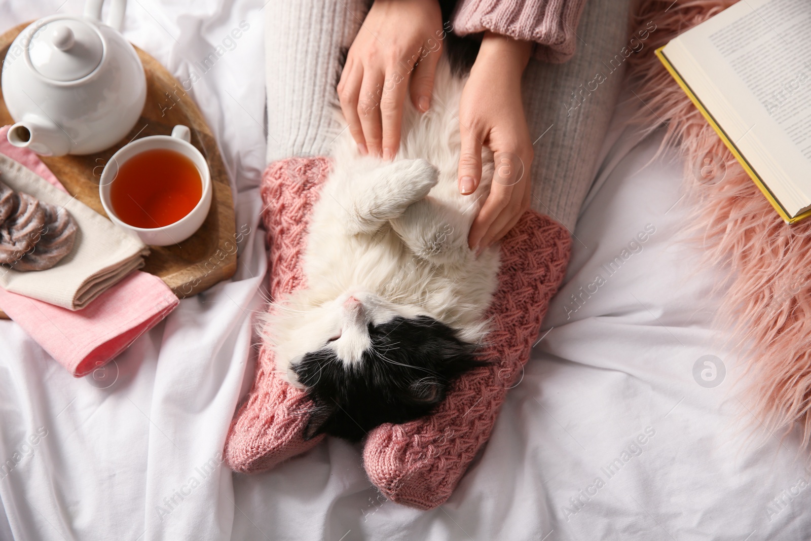 Photo of Woman stroking adorable cat on bed, top view