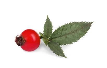 Photo of Ripe rose hip berry with green leaves on white background