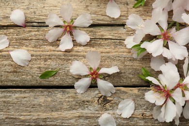 Photo of Beautiful spring tree blossoms and petals on wooden table, flat lay