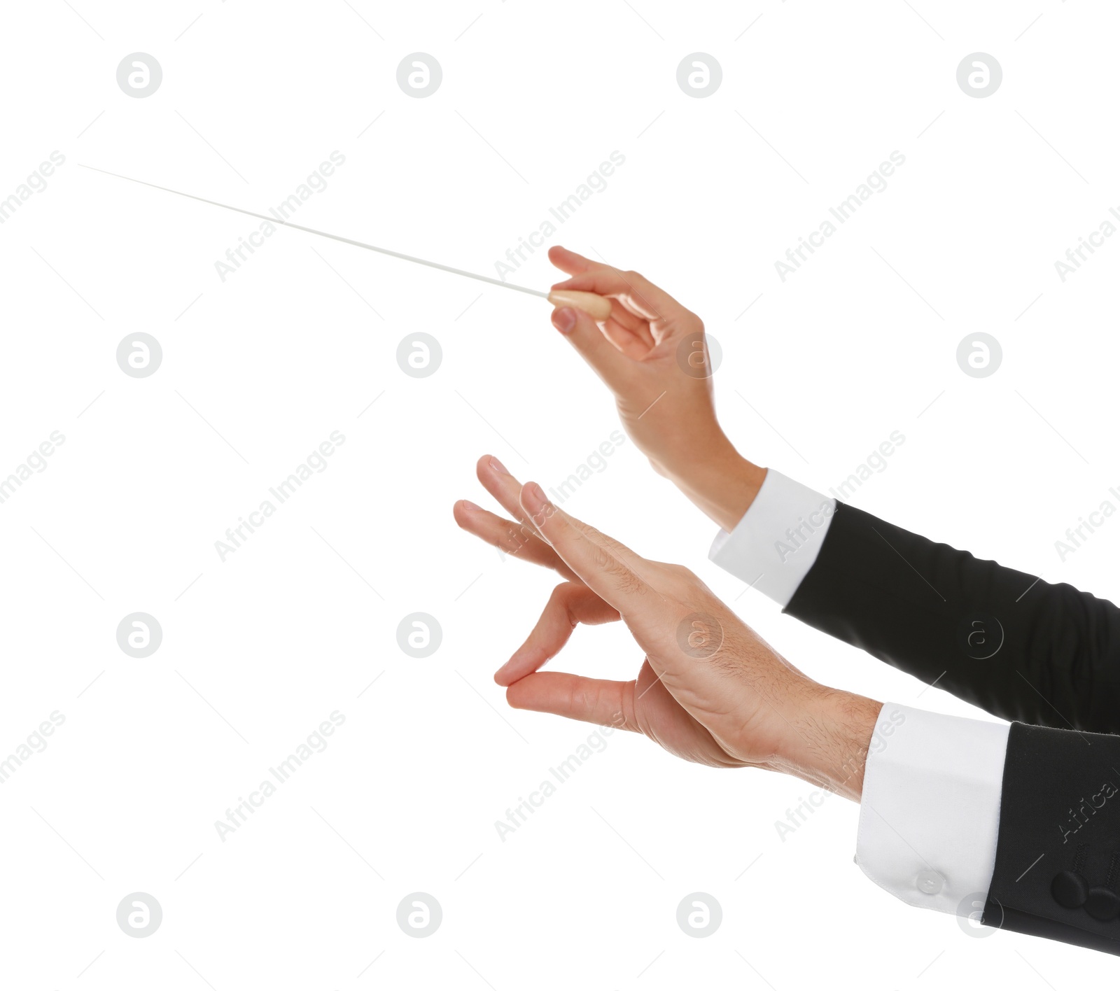 Photo of Professional conductor with baton on white background, closeup