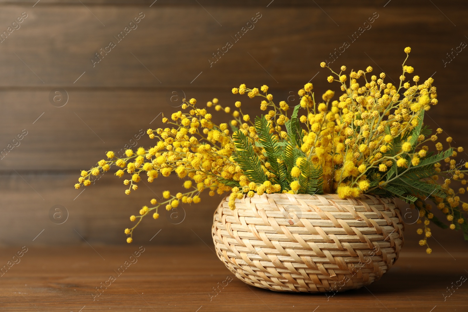 Photo of Bouquet of beautiful mimosa flowers on wooden table