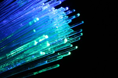 Photo of Optical fiber strands transmitting different color lights on black background, macro view. Space for text