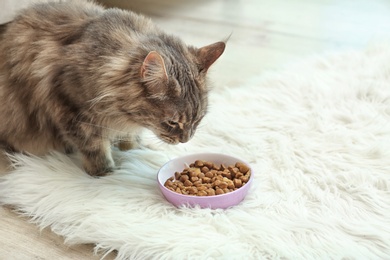 Adorable Maine Coon cat near bowl of food on fluffy rug at home. Space for text