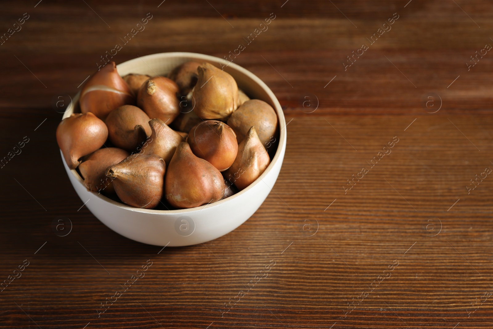 Photo of Tulip bulbs in bowl on wooden table. Space for text