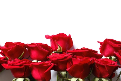 Beautiful red rose flowers on white background, top view