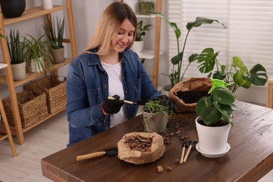 Woman transplanting houseplant at wooden table indoors