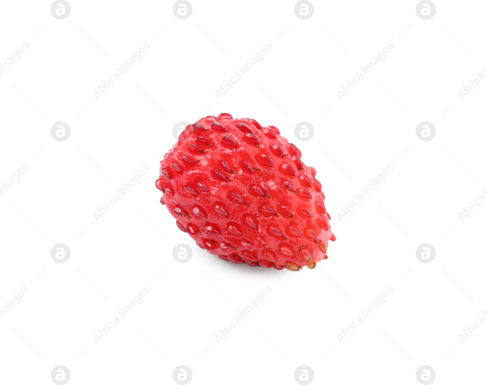 Photo of One ripe wild strawberry isolated on white