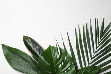Photo of Flat lay composition with tropical leaves and space for text on white background