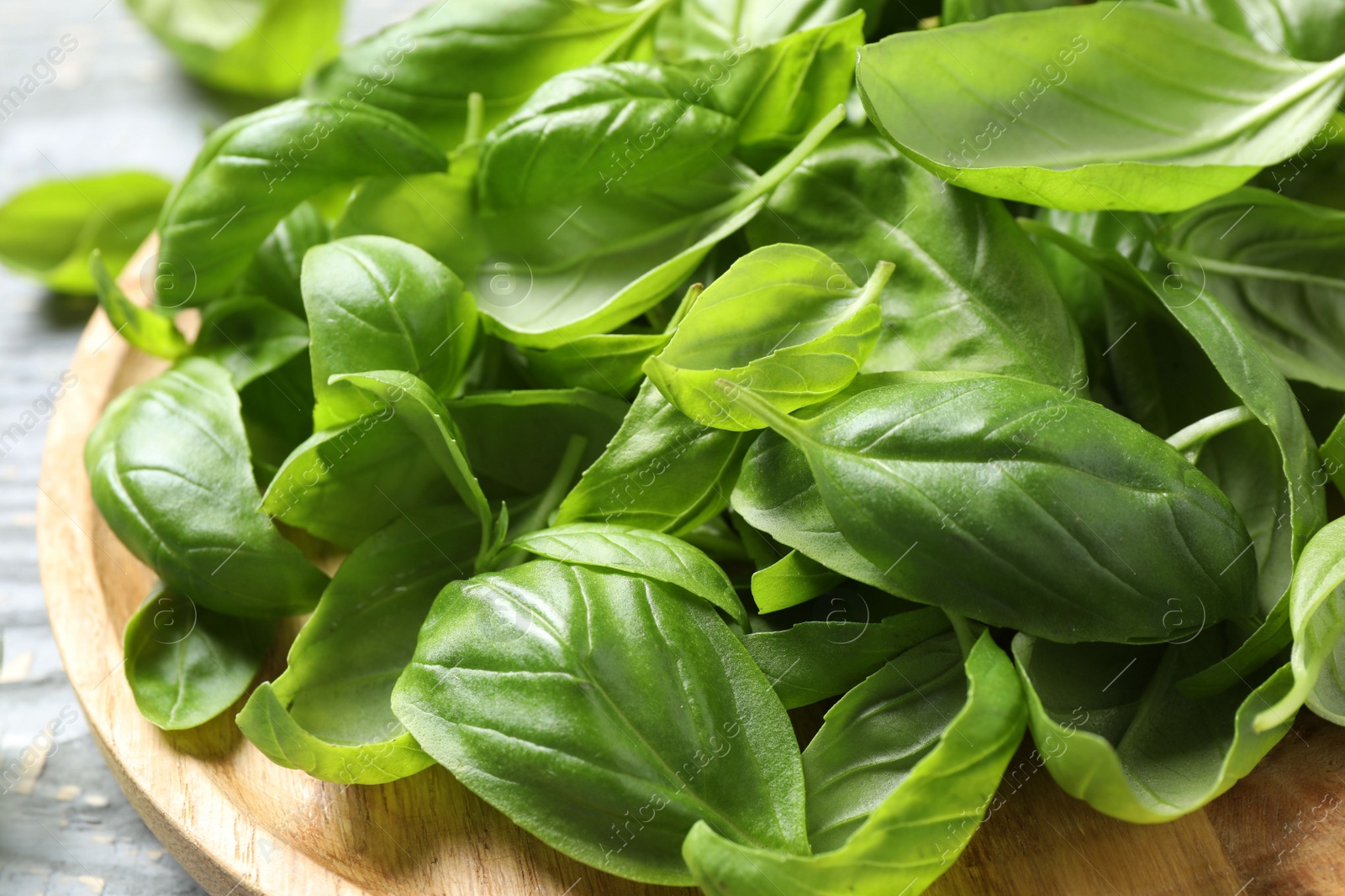 Photo of Fresh green basil on light table, closeup