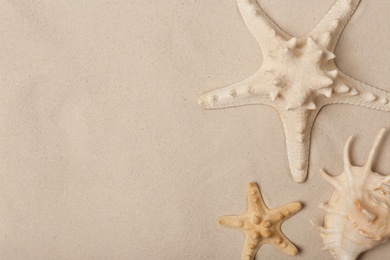 Photo of Starfishes and shell on beach sand, top view with space for text