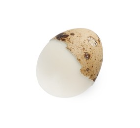Boiled quail egg in shell on white background, top view