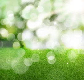 Image of Vibrant green grass outdoors on sunny day