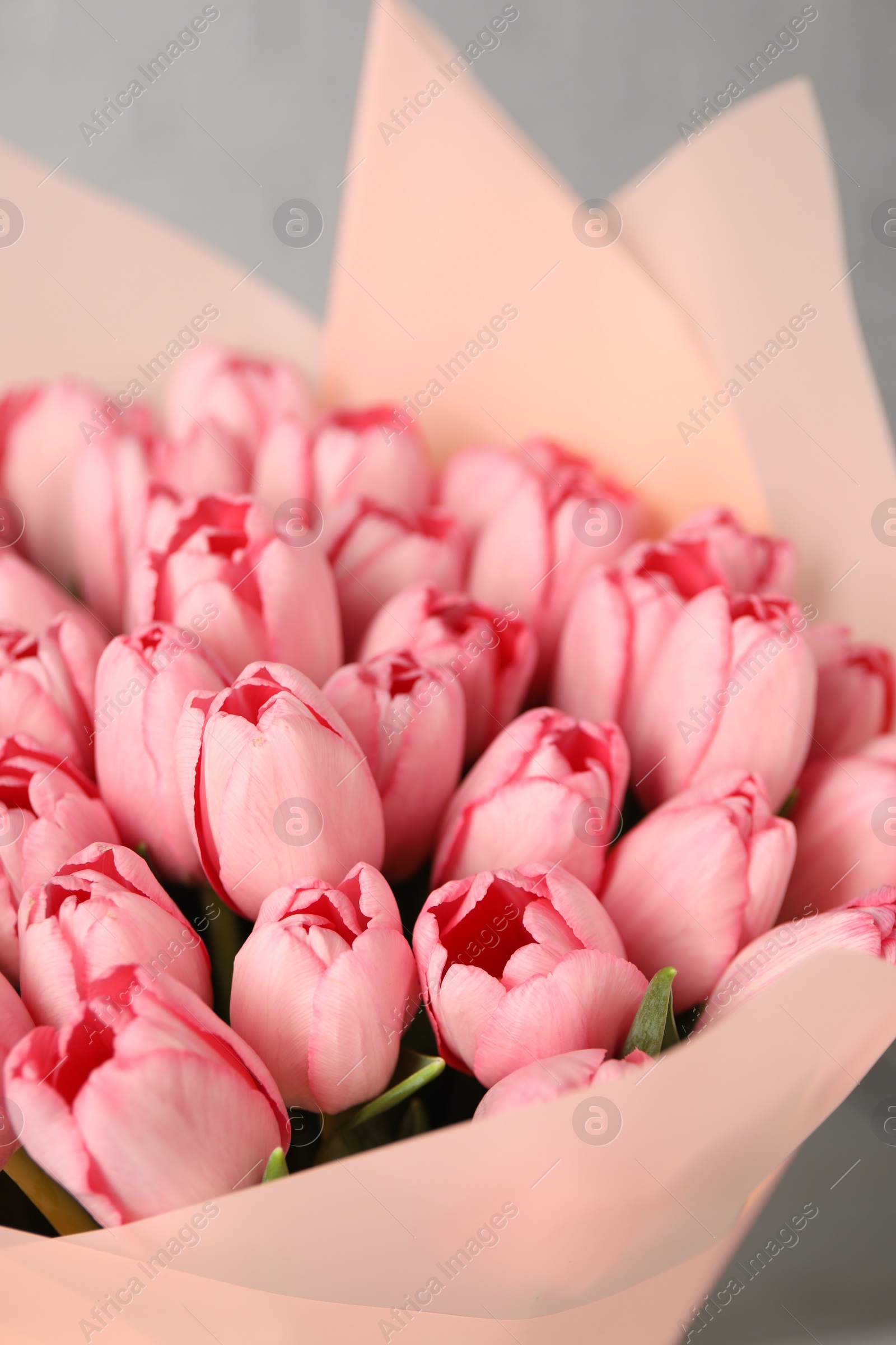 Photo of Bouquet of beautiful pink tulips on light grey background, closeup