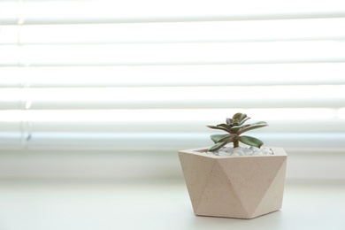 Photo of Window with blinds and potted plant on sill, space for text