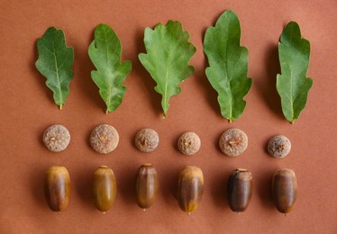Photo of Acorns and green oak leaves on brown background, flat lay