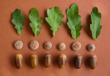 Acorns and green oak leaves on brown background, flat lay