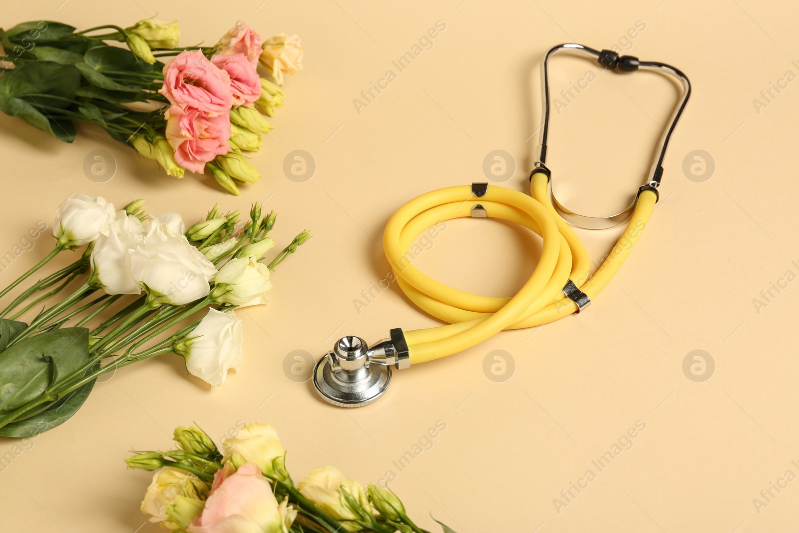 Photo of Stethoscope and eustoma flowers on beige background. Happy Doctor's Day