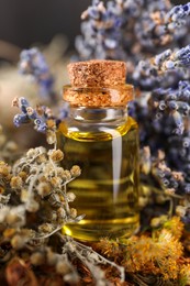 Photo of Bottle of essential oil and many different dry herbs, closeup