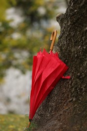 Photo of One red umbrella on tree trunk in autumn park