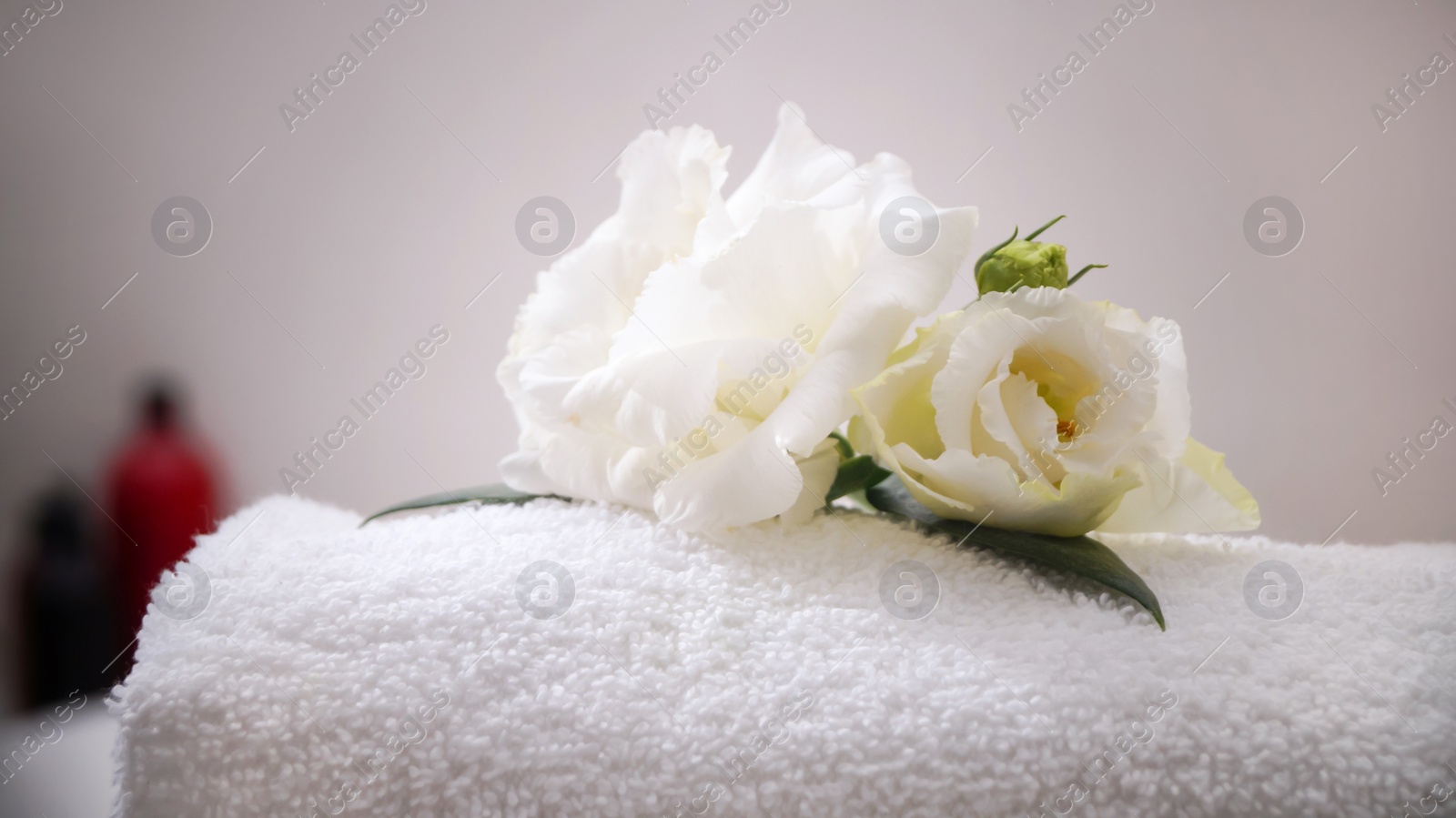 Photo of Folded bath towel and beautiful flowers in bathroom, closeup