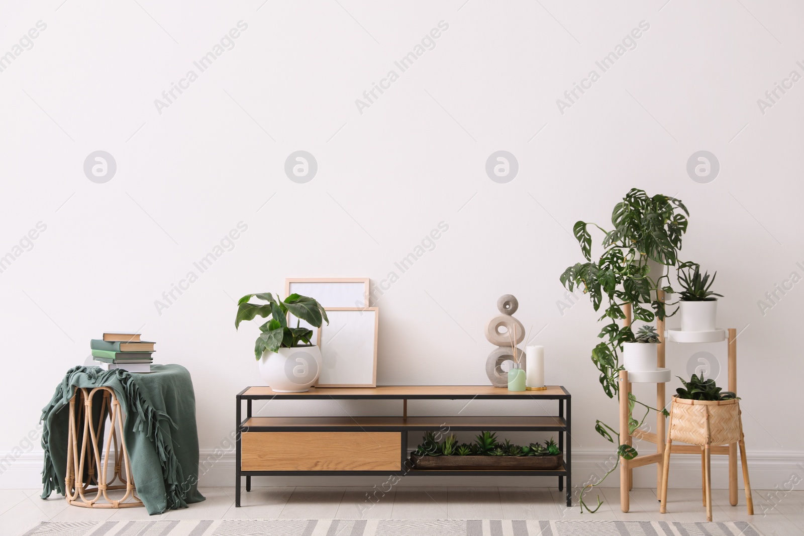 Photo of Elegant room interior with wooden cabinet and beautiful houseplants near light wall
