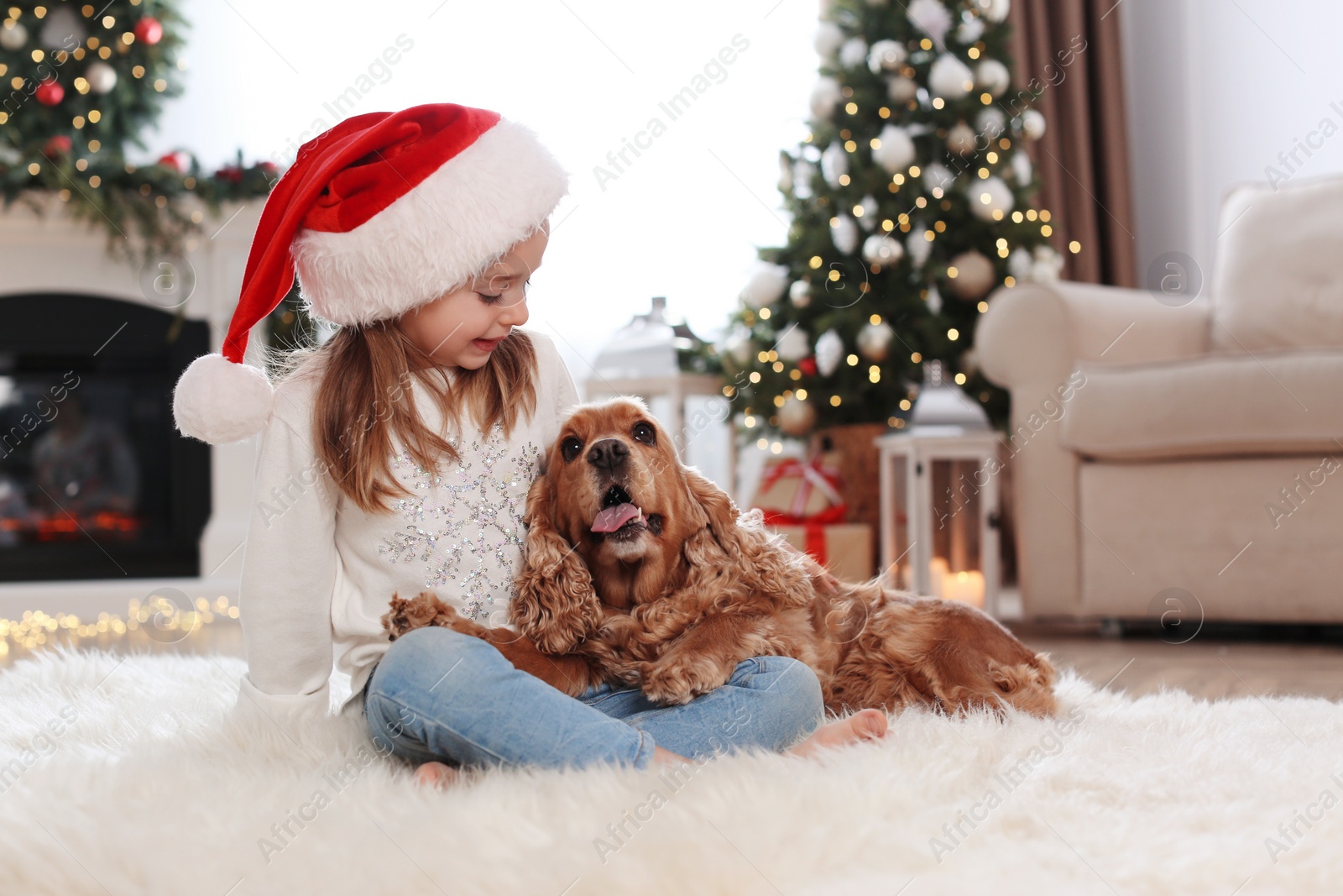 Photo of Cute little girl with English Cocker Spaniel in room decorated for Christmas