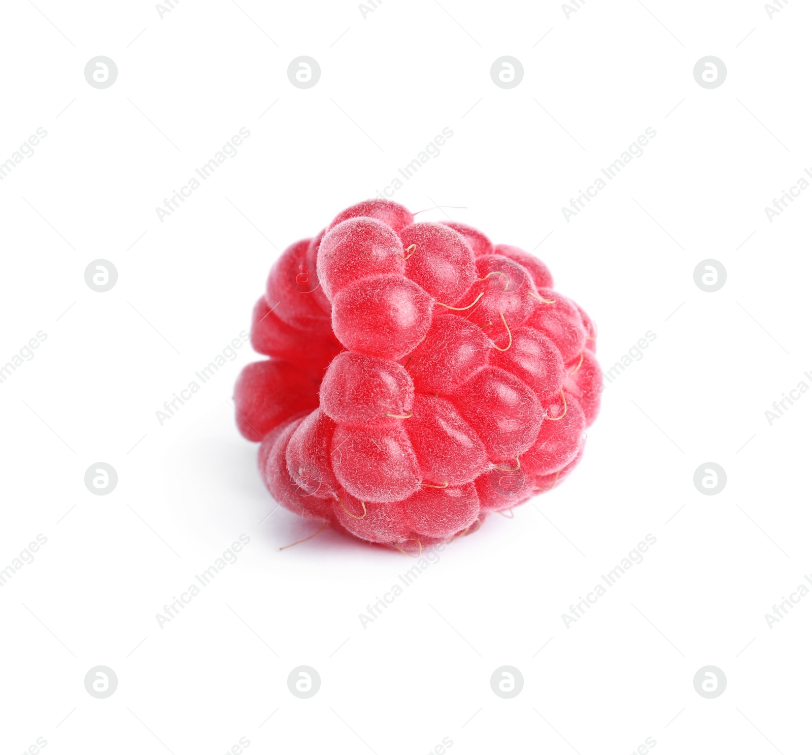 Photo of One fresh ripe raspberry isolated on white