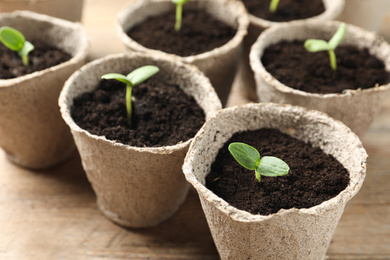 Photo of Young seedlings in peat pots on wooden table, closeup