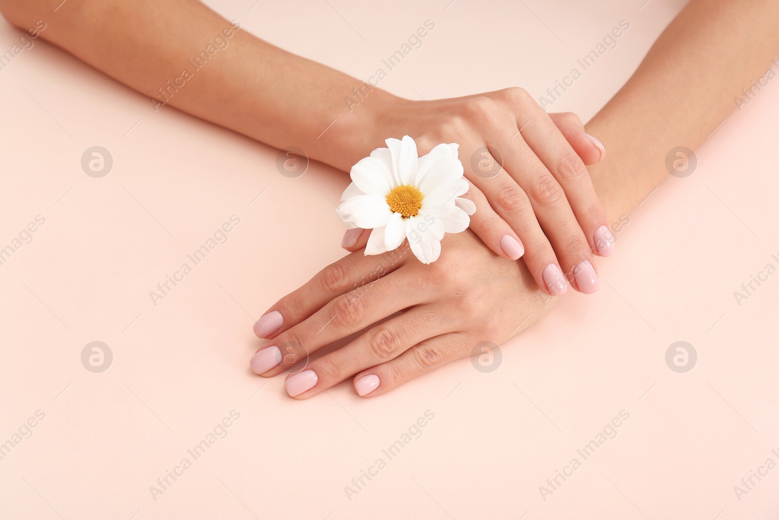 Photo of Closeup view of woman with flower on color background. Spa treatment