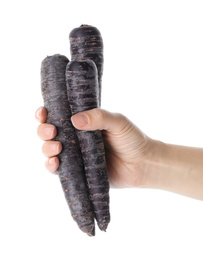 Photo of Woman holding raw black carrots on white background, closeup