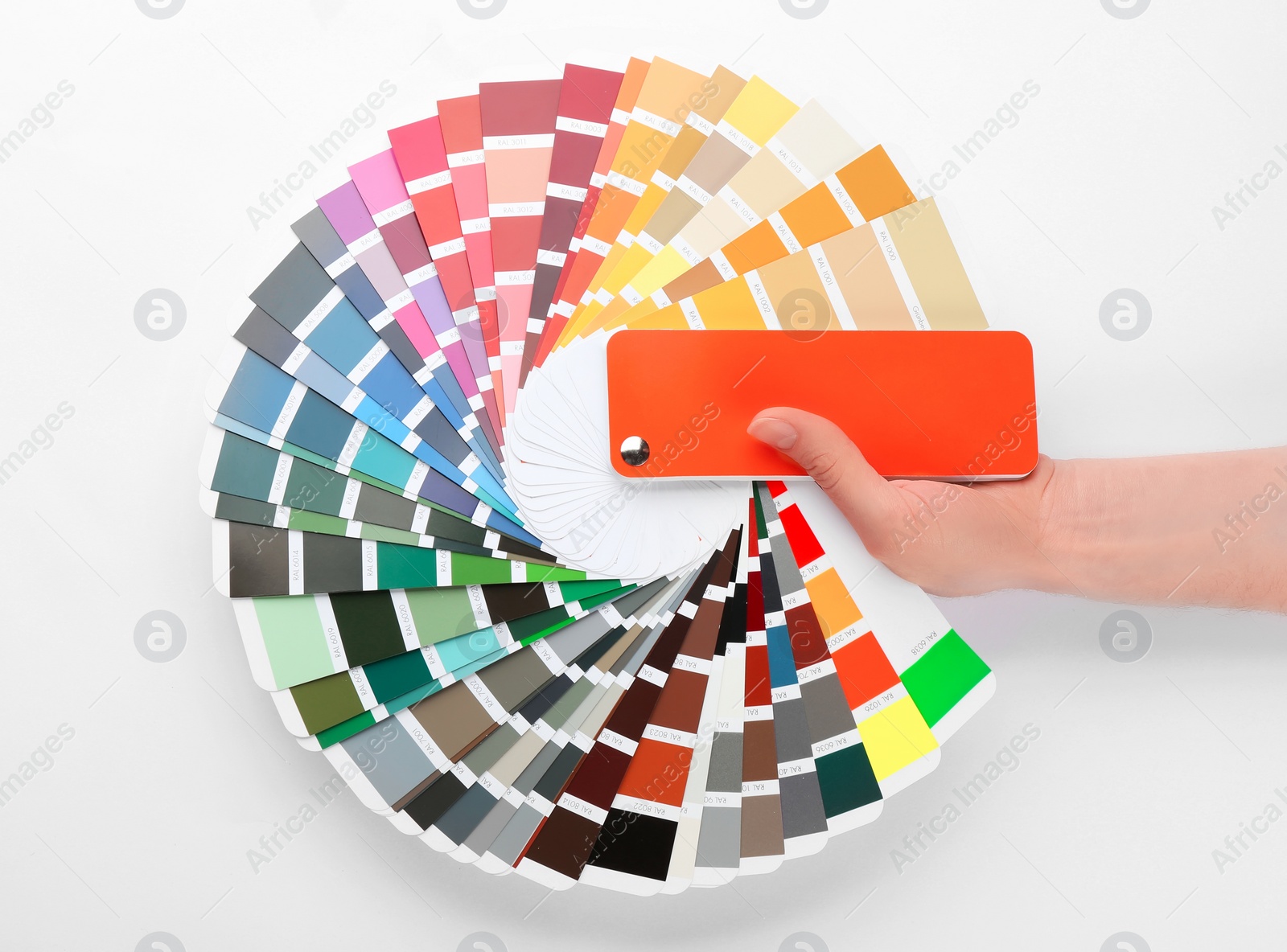 Photo of Woman holding color palette samples on white background, top view