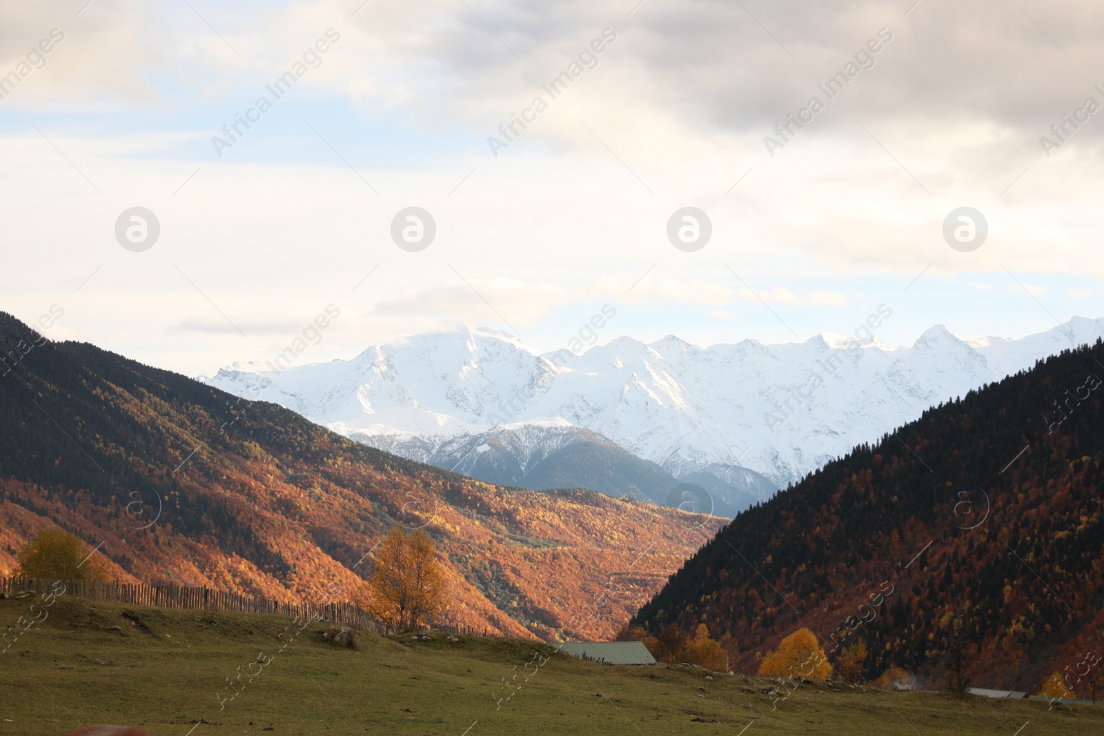 Photo of Picturesque view of mountain landscape with forest and meadow on autumn day