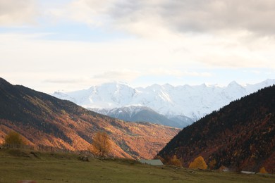 Picturesque view of mountain landscape with forest and meadow on autumn day