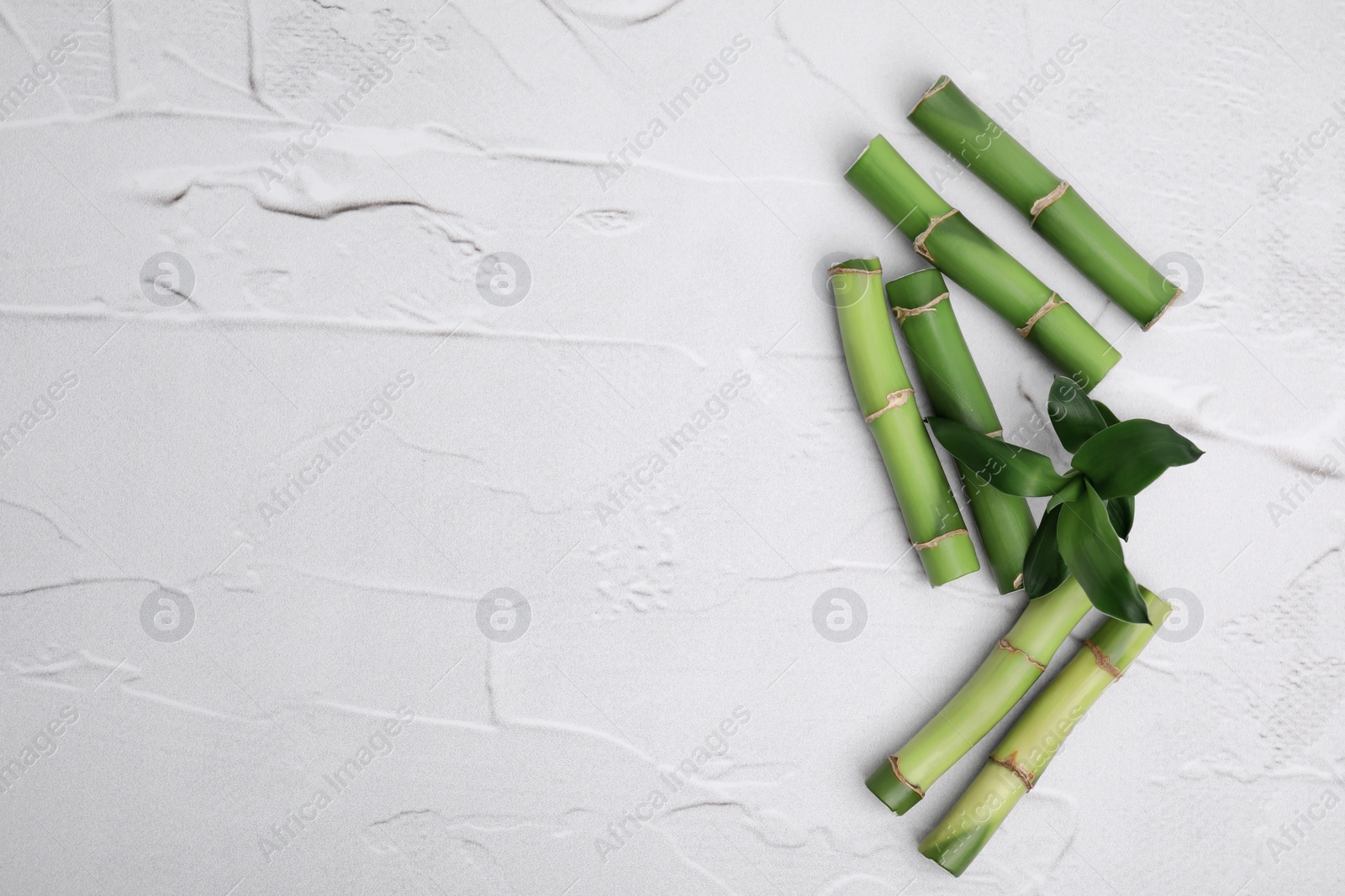 Photo of Pieces of beautiful green bamboo stems on white textured background, flat lay. Space for text