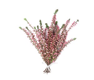 Photo of Bunch of heather branches with beautiful flowers isolated on white, top view