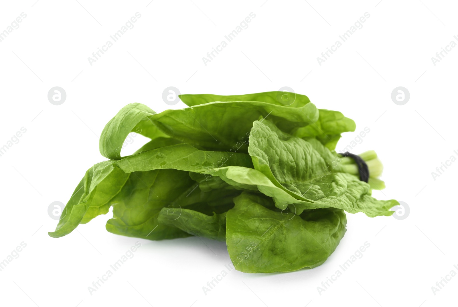 Photo of Bundle of fresh spinach isolated on white